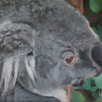 Peinture intitulée "Le koala" par Catherine Costet (Lccat), Œuvre d'art originale, Pastel