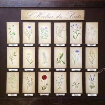 Painting titled "L'herbier des Brets" by Noëlle Lassailly, Original Artwork, Acrylic Mounted on Wood Stretcher frame