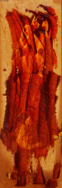 ROI de PACOTILLE