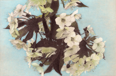 Drawing titled "SPRING BLOSSOM" by Nives Palmić, Original Artwork, Charcoal