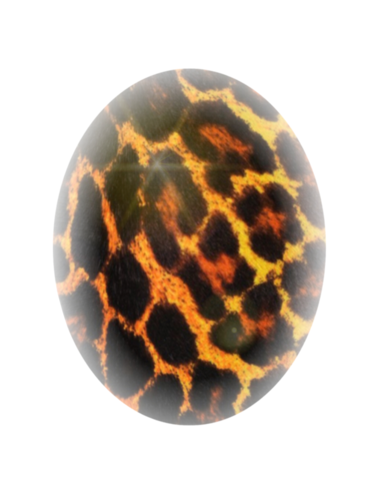 Arts numériques intitulée "guépard and egg sit…" par Nicole Rochedix, Œuvre d'art originale, Peinture numérique
