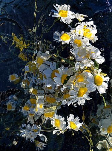 제목이 "marguerites.."인 사진 Aquartistiq로, 원작, 디지털