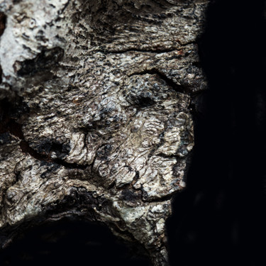 Fotografie getiteld "Le spectre" door Isabelle Pautrot, Origineel Kunstwerk, Digitale fotografie