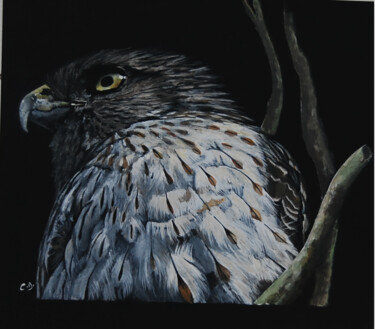 Peinture intitulée "épervier de Cooper…" par Catherine Digue - Turpin, Œuvre d'art originale, Gouache