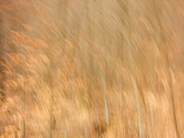 Photography titled "L'incendie.........…" by Philippe Berthier, Original Artwork, Digital Photography