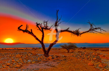Photography titled "sunrise-in-the-dese…" by Benjamin, Original Artwork