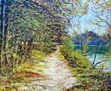 Les rives du Cher à Montrichard (Loir et Cher)