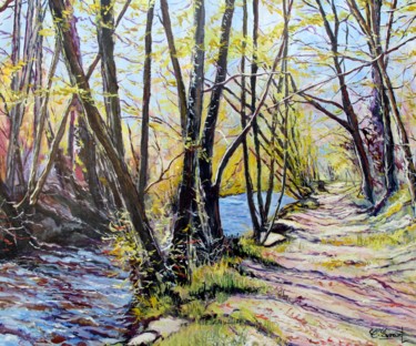 Le chemin entre l'Aven et le Bois d'amour