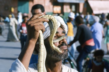 Photographie intitulée "img326.jpg" par Dominique Thivollier, Œuvre d'art originale