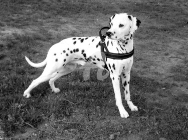 Mon amour Black & White