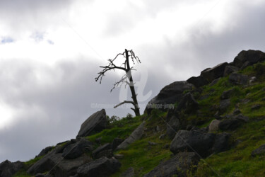 APRÈS L'ORAGE