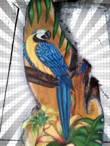 Pintura titulada "parroyt.png" por Bladimir, Obra de arte original, Acrílico