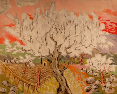 Cerisier en fleurs