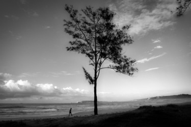 Passeggiata sotto l'albero