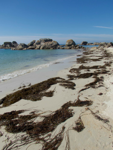 Photographie intitulée "Laisse de mer" par Jean Paul Rosso, Œuvre d'art originale