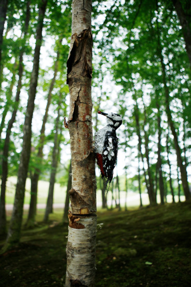 Sculpture intitulée "Pic épeiche" par Gillsman, Œuvre d'art originale, Métaux