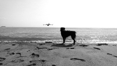 Photographie intitulée "Contemplation animal" par Isabelle Pautrot, Œuvre d'art originale