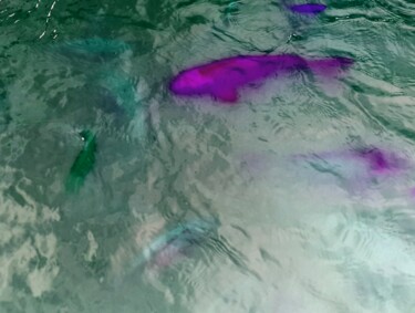 Fotografía titulada "Poissons colorés" por Janie B., Obra de arte original, Fotografía manipulada