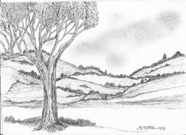 paysage-a-l-arbre.jpg