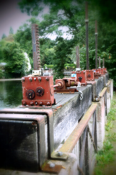 Photographie intitulée "Loiret 2.jpg" par Florence Pouget-Landrieu, Œuvre d'art originale