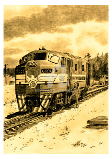 Dessin intitulée "Ferrovia Tereza Cri…" par Julien Cachemaille, Œuvre d'art originale, Graphite