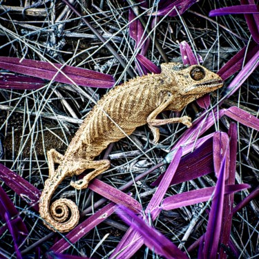 Death of a chameleon