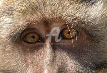 LE REGARD