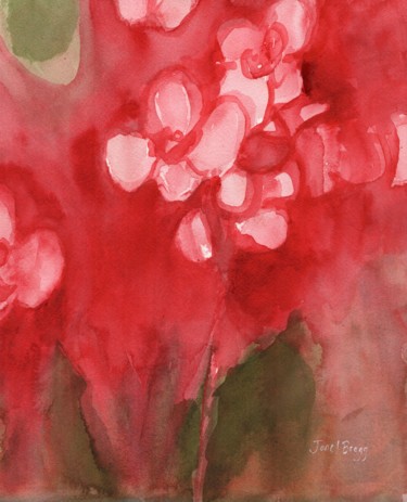 Orchid in Alizarin Crimson