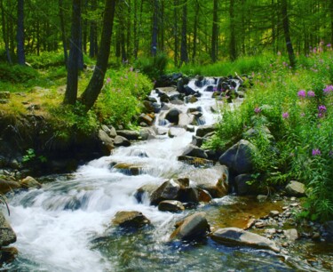 A place of frechness