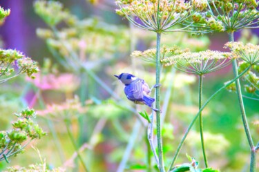 Le calme d'une après-midi d'été