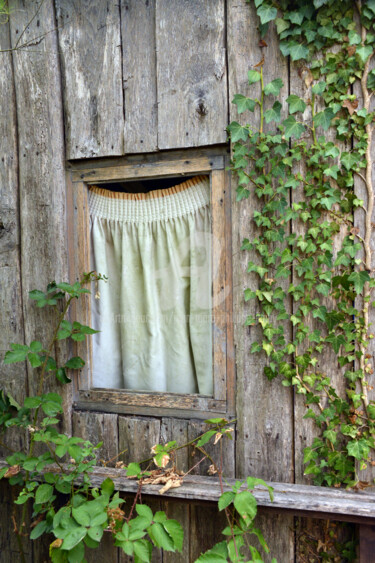 LE CABANON D'AURÉLIE