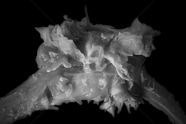 Fotografie getiteld "FRACTURE" door Jean-Marc Philippe (Jimpy), Origineel Kunstwerk, Digitale fotografie