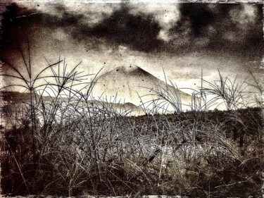 Arts numériques intitulée "Fujisan 2" par Nicole Rochedix, Œuvre d'art originale, Peinture numérique