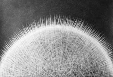 Dessin intitulée "Flower in Black - W…" par Maja Poljak, Œuvre d'art originale, Crayon Monté sur Carton