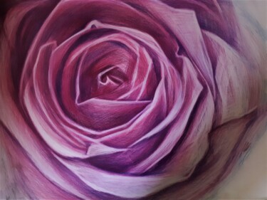 Desert Rose Рисунок под названием "Desert Rose" - Maja Poljak, Подлинное произведение искусства, Карандаш