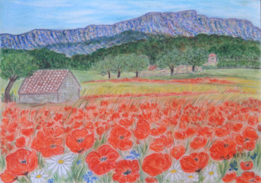 Champ de coquelicots, montagne Sainte Victoire