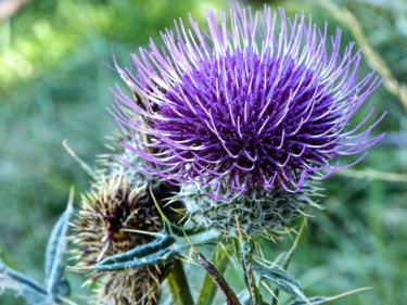 Photographie intitulée "p1070934.jpg" par Jean Paul Rosso, Œuvre d'art originale