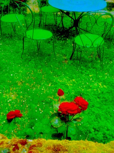 Roses7