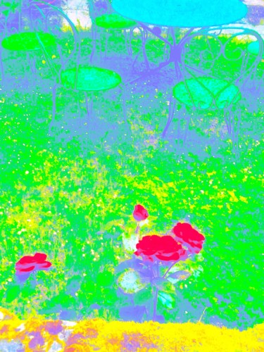 Roses9