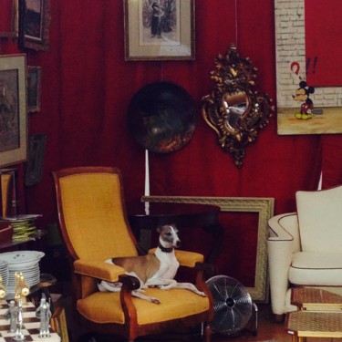 Baroque Dog