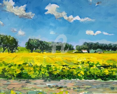 Hedwige polder 2