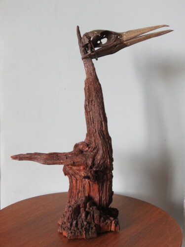 Sculpture intitulée "Cormoran head on pi…" par Jérôme Astruc, Œuvre d'art originale, Bois