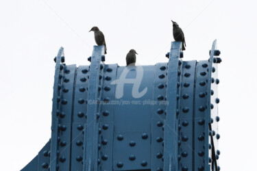 Photography titled "LES COMPÈRES" by Jean-Marc Philippe (Jimpy), Original Artwork, Digital Photography