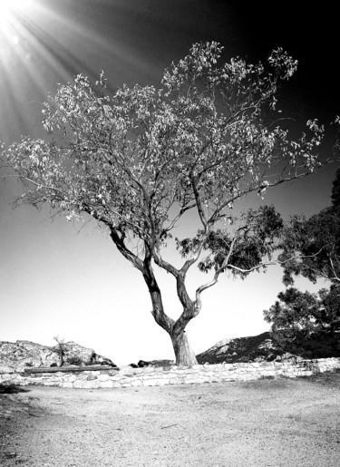 Photographie intitulée "Beauté sauvage" par Isabelle Pautrot, Œuvre d'art originale