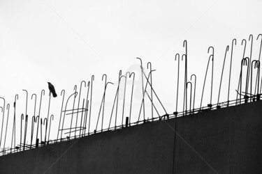 LE SOLITAIRE