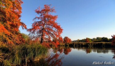 Photographie intitulée "Etang de Boulieu en…" par Michel Guillet, Œuvre d'art originale