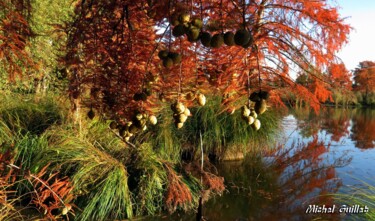 Photographie intitulée "Etang de Boulieu en…" par Michel Guillet, Œuvre d'art originale