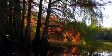 Photographie intitulée "Etang de Boulieu en…" par Michel Guillet, Œuvre d'art originale