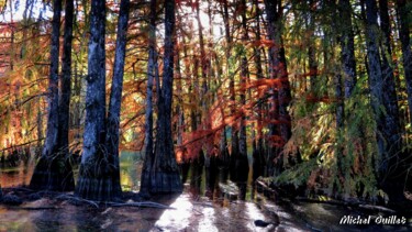 Photographie intitulée "Etang de Boulieu en…" par Michel Guillet, Œuvre d'art originale