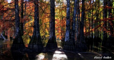 Photographie intitulée "Etang de Boulieu en…" par Michel Guillet, Œuvre d'art originale